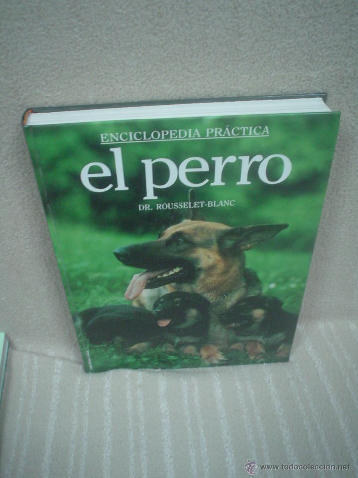 Libros de segunda mano: DR. ROUSSELET-BLANC: EL PERRO (ENCICLOPEDIA PR&Aacute;CTICA) - Foto 1