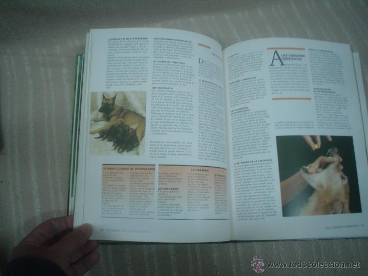 Libros de segunda mano: DR. ROUSSELET-BLANC: EL PERRO (ENCICLOPEDIA PR&Aacute;CTICA) - Foto 2