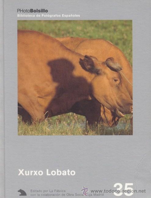 Second hand books: XURXO LOBATO PHOTOBOLSILLO BIBLIOTECA FOT&Oacute;GRAFOS ESPA&Ntilde;OLES N&ordm; 35 LA F&Aacute;BRICA TEXTO ANT&Oacute;N PATI&Ntilde;O