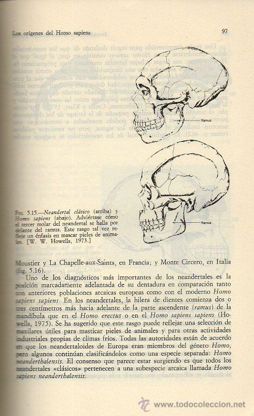 Libros de segunda mano: INTRODUCCI&Oacute;N A LA ANTROPOLOG&Iacute;A GENERAL - MARVIN HARRIS. ALIANZA UNIVERSAL TEXTOS, 1982 - Foto 6