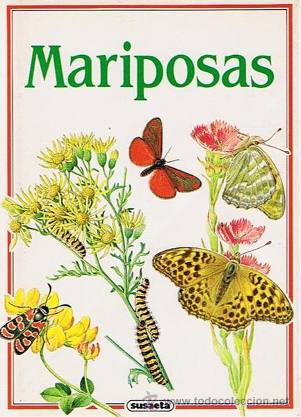 Libros de segunda mano: MARIPOSAS IVO NOV&Aacute;K 2&ordf; EDICI&Oacute;N 1991 - Foto 1