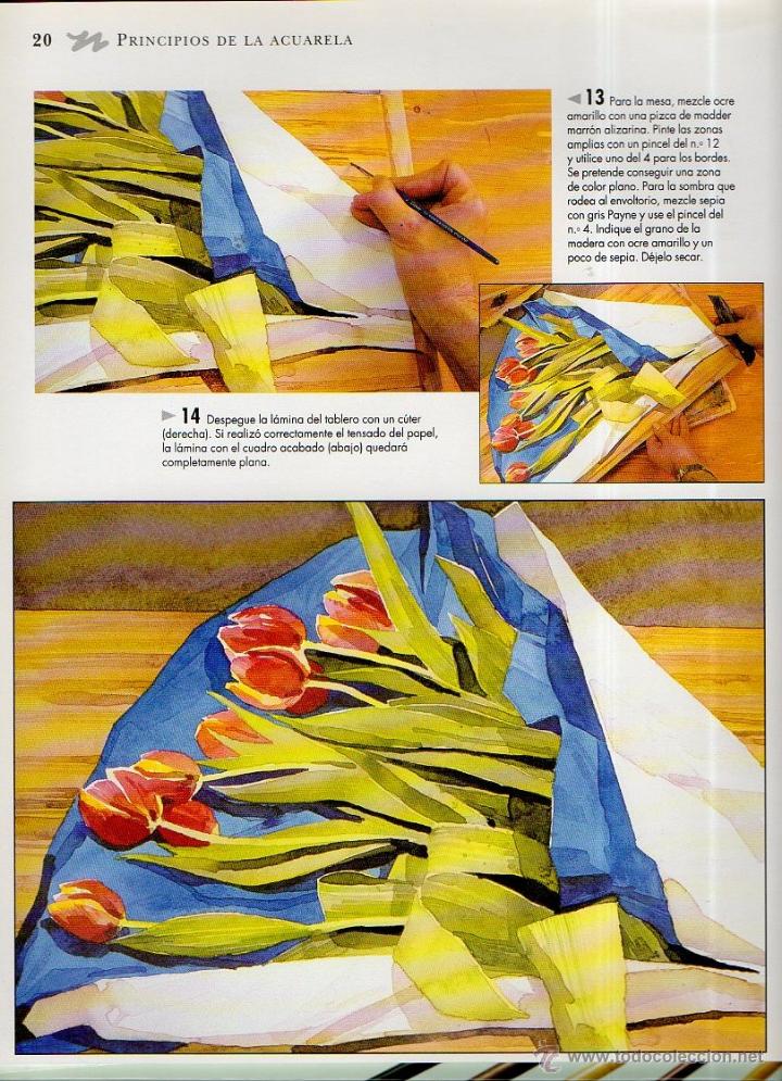 Libros de segunda mano: Acuarela. T&eacute;cnicas creativas.  Editorial Libsa,  2003 - Foto 2