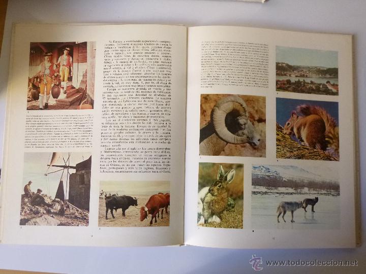 Libros de segunda mano: EL MUNDO DE DISNEY, ED GAISA 1970 OFRT - Foto 2