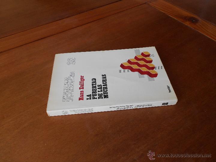 Libros de segunda mano: BIBLIOTECA DE PSICOLOG&Iacute;A, LA PUBERTAD DE LAS MUCHACHAS (ZULLIGER, H.) ED. HERDER - Foto 2