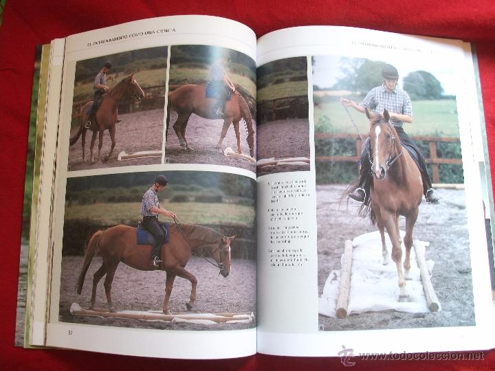 Libros de segunda mano: PIENSA COMO TU CABALLO DE MICHAEL PEACE Y LESLEY BAYLEY 2002 - Foto 3