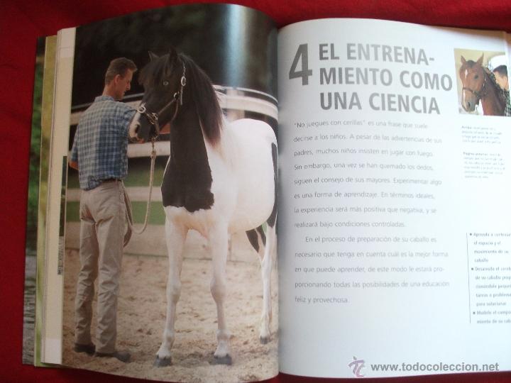 Libros de segunda mano: PIENSA COMO TU CABALLO DE MICHAEL PEACE Y LESLEY BAYLEY 2002 - Foto 4
