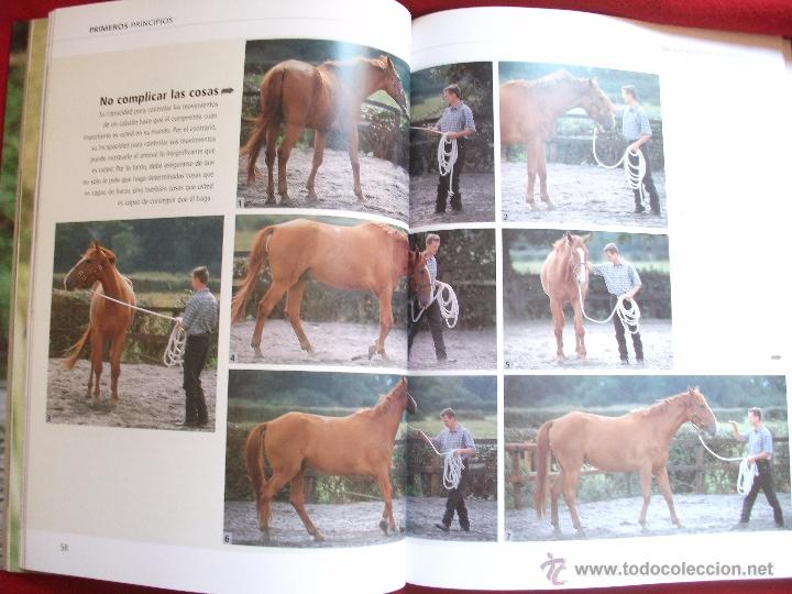 Libros de segunda mano: PIENSA COMO TU CABALLO DE MICHAEL PEACE Y LESLEY BAYLEY 2002 - Foto 5