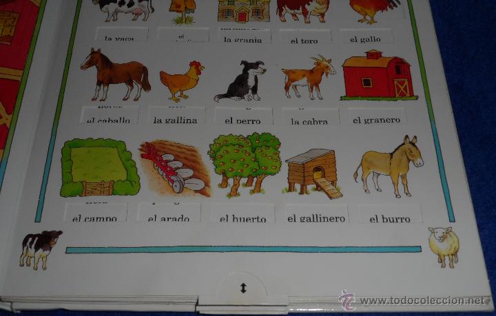 Libros de segunda mano: Mis primeras 200 palabras en ingles - Editorial Molino (1992) - Foto 5