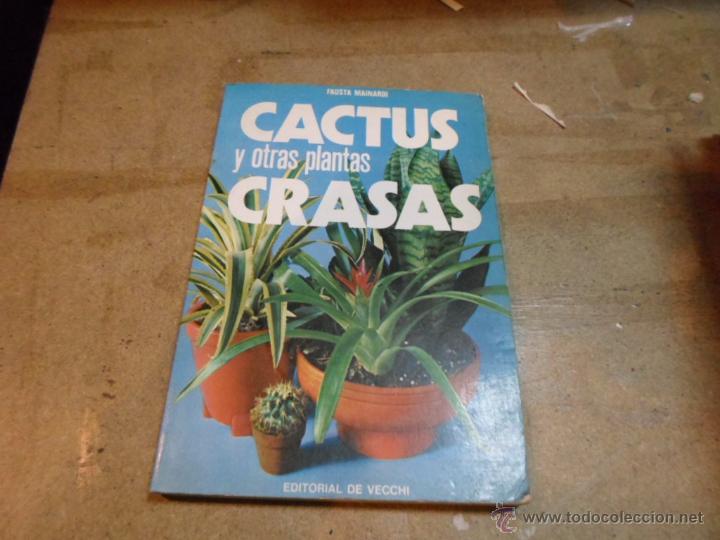 Libros de segunda mano: Fausta Mainardi, Cactuas y otras plantas grasas, Ed. Vecchi - Foto 1