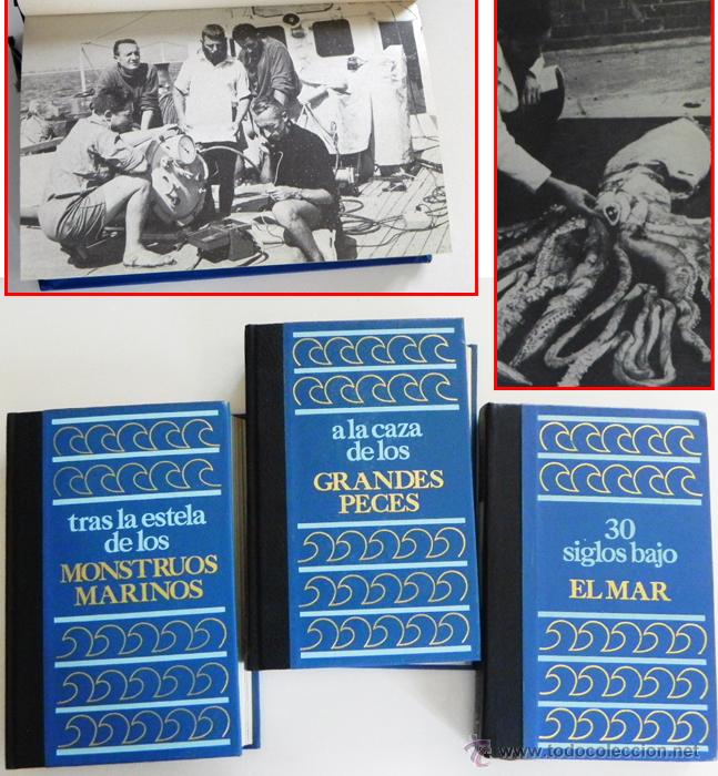 Libros de segunda mano: LOTE 30 SIGLOS BAJO EL MAR / CAZA GRANDES PECES MONSTRUOS MARINOS LIBROS ARQUEOLOG&Iacute;A BIOLOG&Iacute;A LIBRO