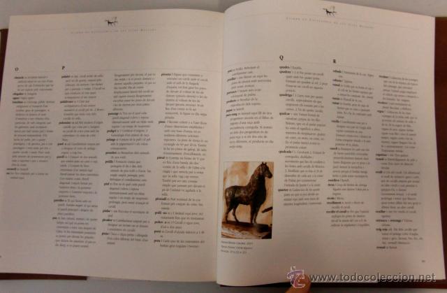 Libros de segunda mano: Llibre de Cavalleria de les Illes Balears - Foto 6