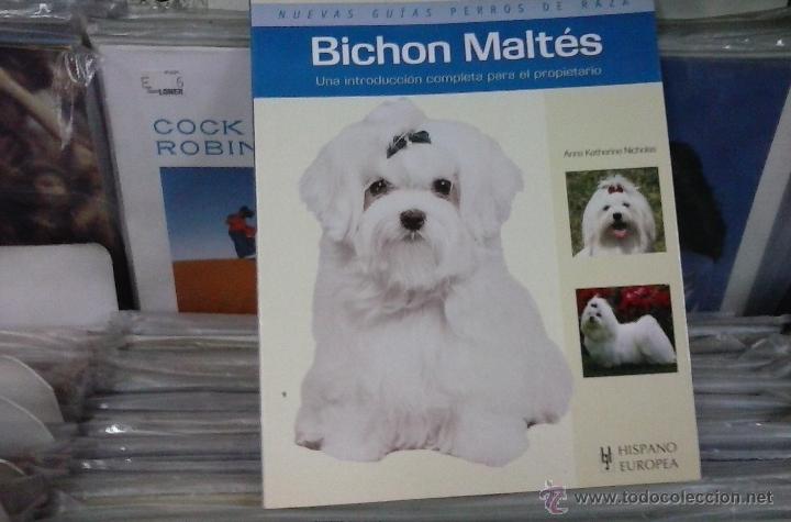 Libros de segunda mano: bichon maltes,anna katherine nicholas - Foto 1