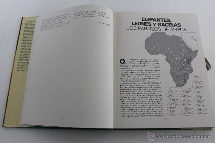 Libros de segunda mano: L- 1950. PARAISOS. WILLI Y URSULA DOLDER. 1977. - Foto 3
