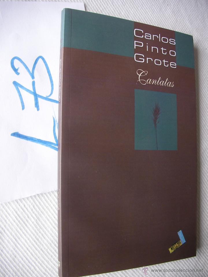 Libros de segunda mano: CARLOS PINTO GROTE - ENVIO GRATIS A ESPA&Ntilde;A - Foto 1
