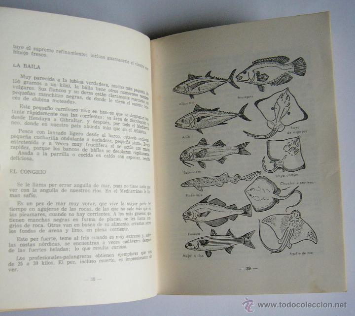Libros de segunda mano: PESCA DE MAR EN BARCO - JACQUES ELLUIN - EDITORIAL PARANINFO. 1968 - Foto 3