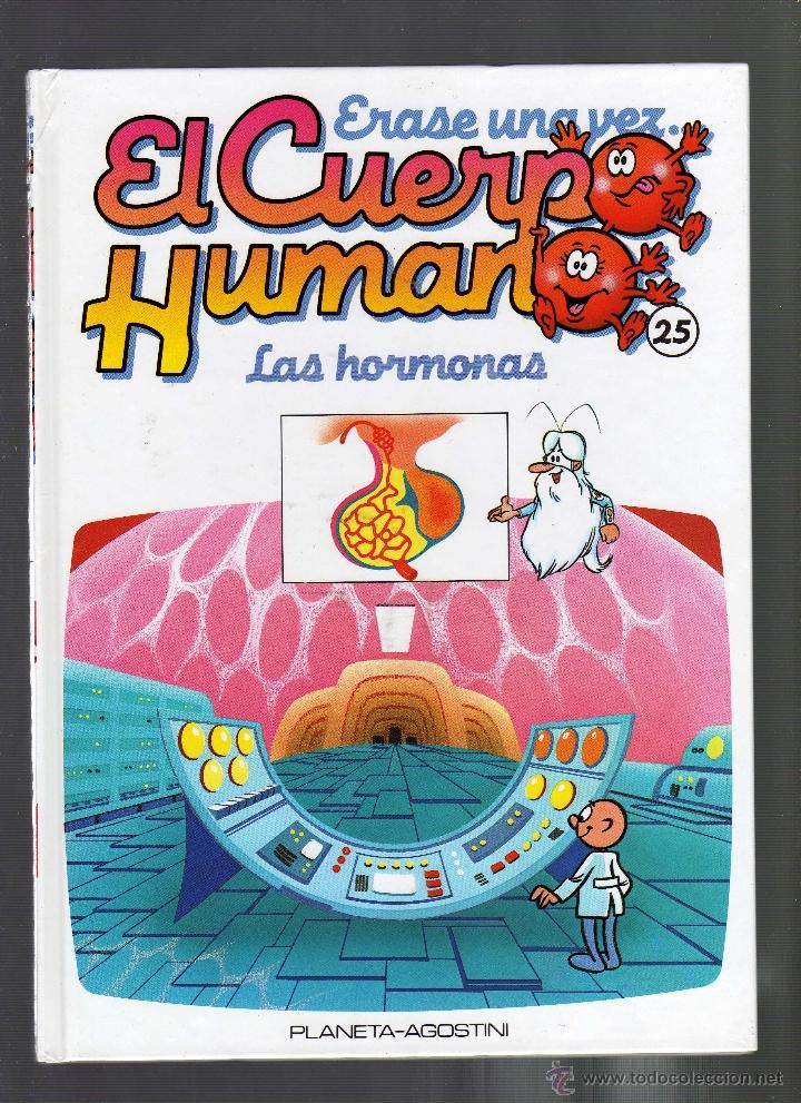 Libros de segunda mano: VOLUMEN N&ordm; 25 DE LA COLECCI&Oacute;N &Eacute;RASE UNA VEZ ... EL CUERPO HUMANO &middot; LAS HORMONAS