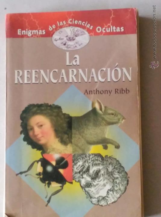 Libros de segunda mano: LA REENCARNACI&Oacute;N ISBN  84 8403 598 0 - Foto 1