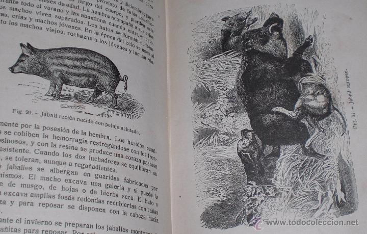 Libros de segunda mano: la cria del cerdo zxy - Foto 2