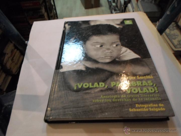 Libros de segunda mano: Javier Lucini, Volad, palabras, volad, 2002 - Foto 1