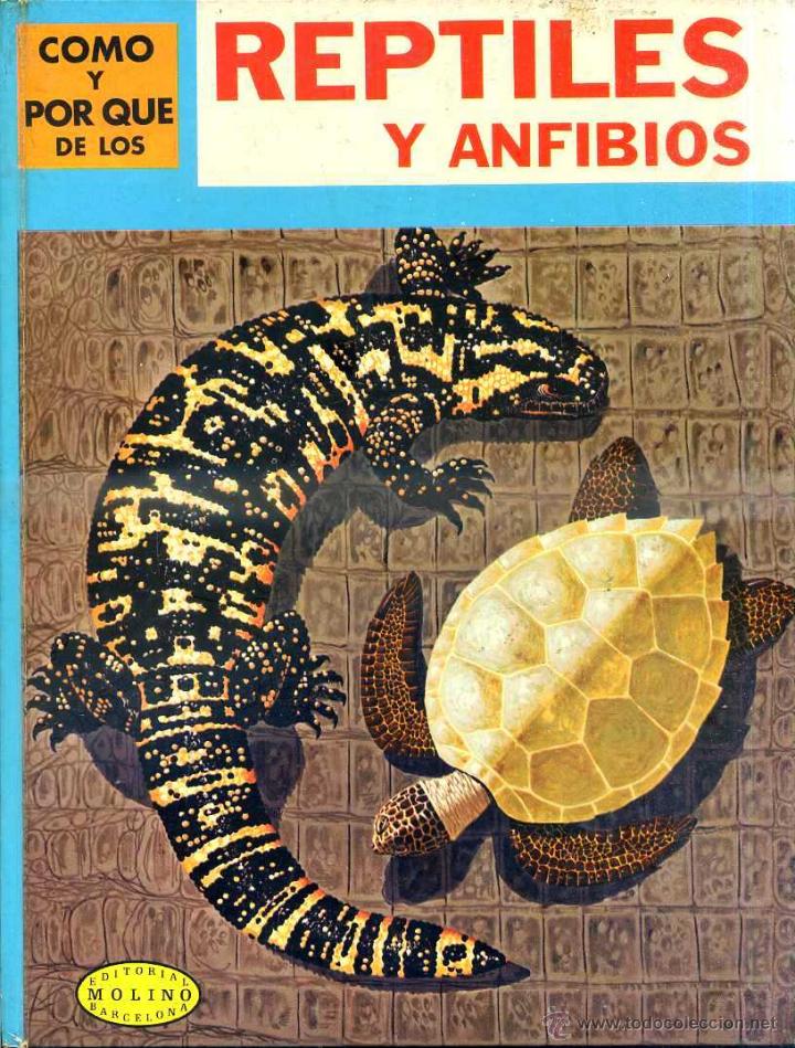 Libros de segunda mano: MOLINO : C&Oacute;MO Y POR QU&Eacute; DE LOS REPTILES Y ANFIBIOS (1970) - Foto 1