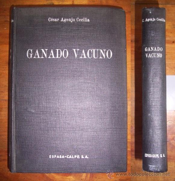 Libros de segunda mano: AGENJO CECILIA, C&eacute;sar. Ganado Vacuno - Foto 1