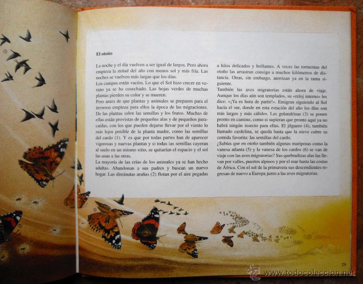 Libros de segunda mano: Una Jacobs. El a&ntilde;o del sol. C&iacute;rculo de Lectores. Barcelona, 1991. Cuento ilustrado. - Foto 2