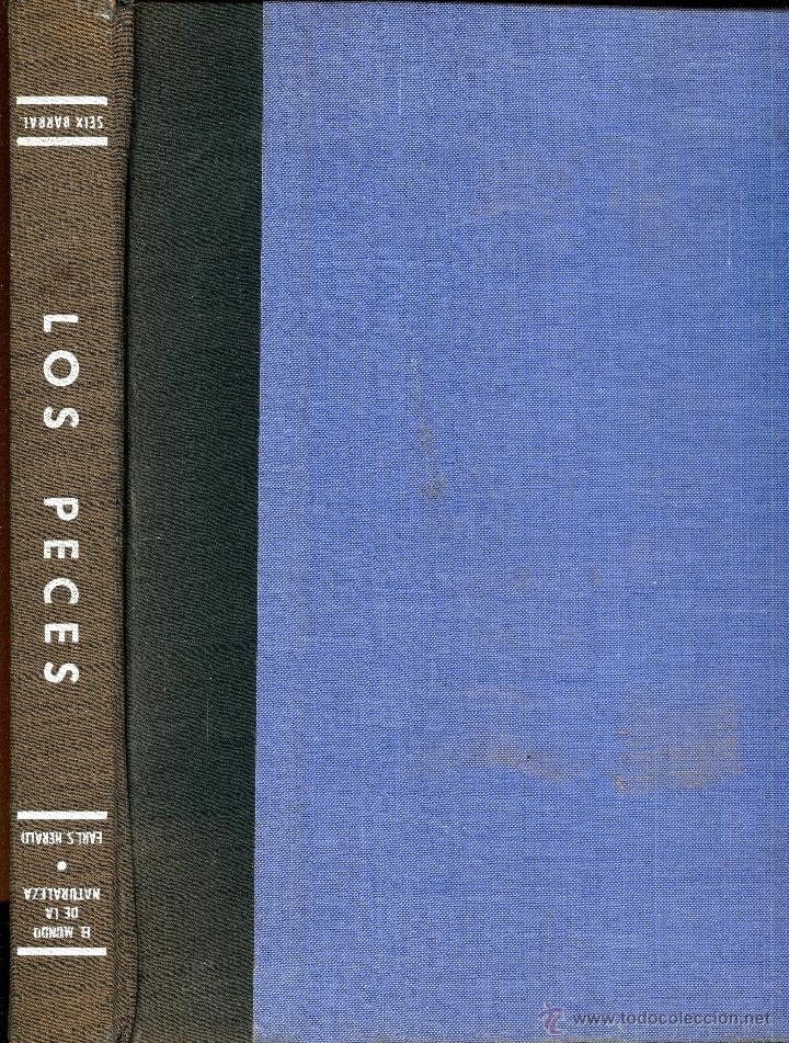 Libros de segunda mano: los peces - Foto 1