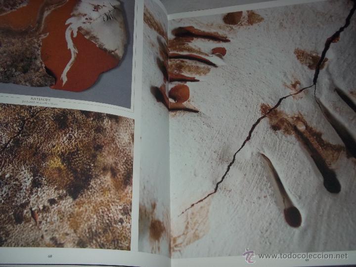Libros de segunda mano: miquel barcelo conjeturas sobre vasijas - Foto 5