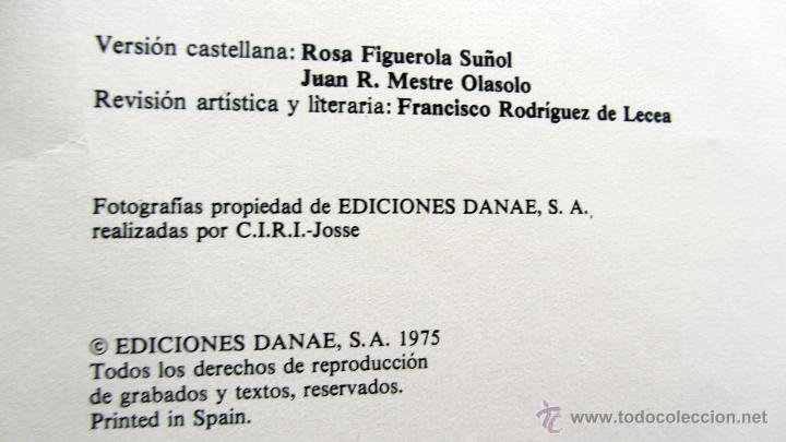 Libros de segunda mano: MUSEO DEL LOUVRE - MAURICE SERULLAZ Y CHRISTIAN POUILLON - Foto 2