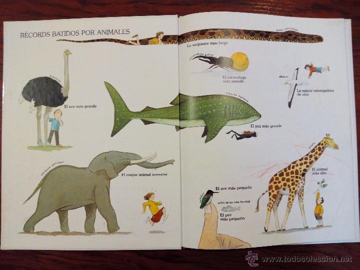 Libros de segunda mano: El Libro de Los Animales Sally Grindley. Editorial Molino 1992 - Foto 2