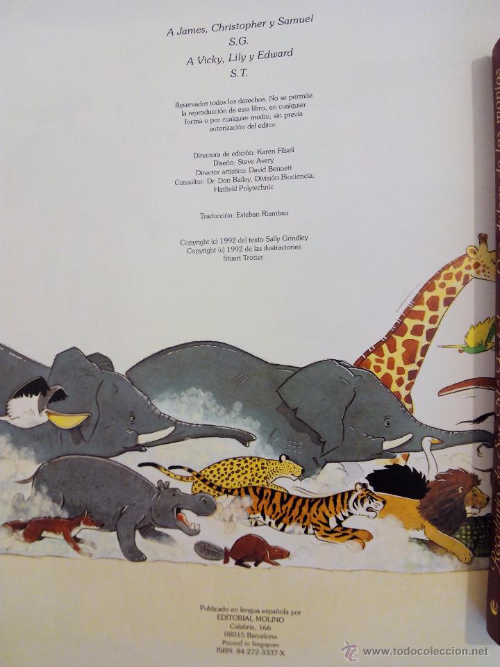 Libros de segunda mano: El Libro de Los Animales Sally Grindley. Editorial Molino 1992 - Foto 3
