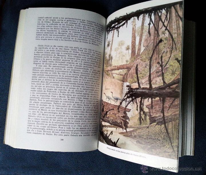 Libros de segunda mano: EL ENIGMA DE LOS DINOSAURIOS - JOHN NOBLE WILFORD - PLANETA - Foto 2