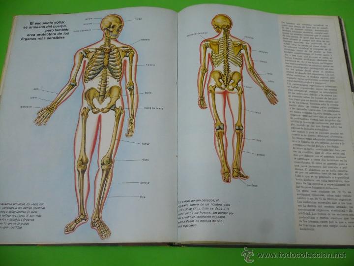 Libros de segunda mano: EL HOMBRE SU CUERPO Y SU ESPIRITU. - Foto 5