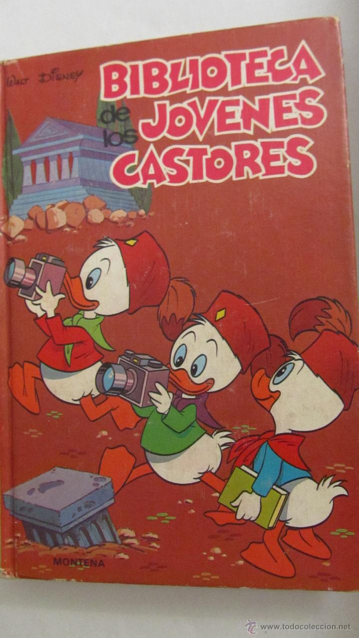 Libros de segunda mano: BIBLIOTECA DE LOS J&Oacute;VENES CASTORES 17 (MONTENA) - Foto 1