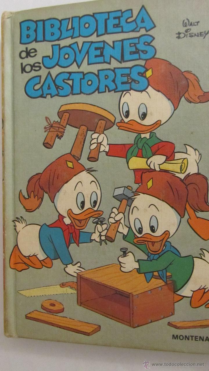 Libros de segunda mano: BIBLIOTECA DE LOS J&Oacute;VENES CASTORES 8 (MONTENA) - Foto 1