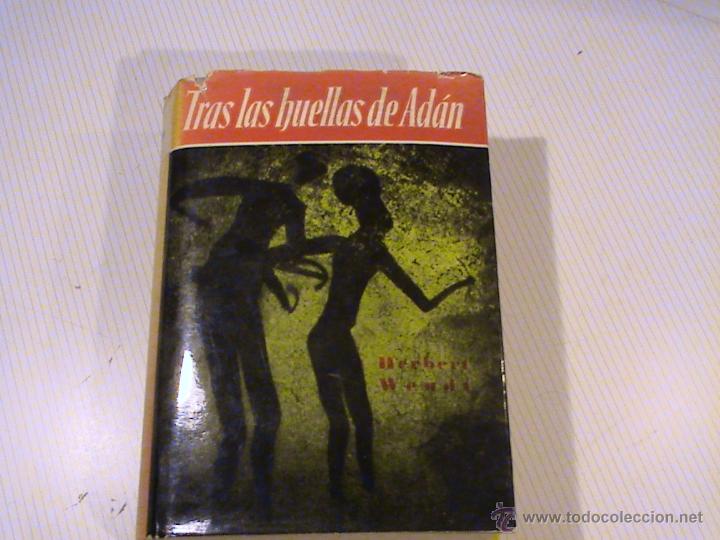 Libros de segunda mano: Tras las huellas de Adan . La novela de una ciencia. - Foto 1