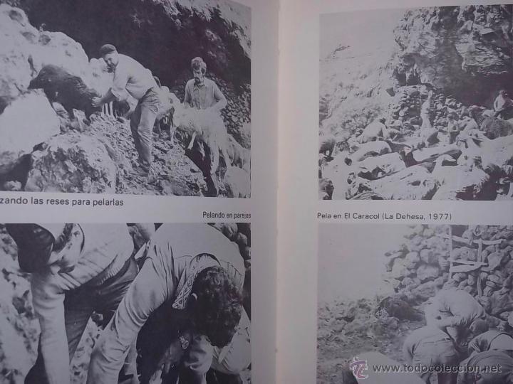 Libros de segunda mano: el folklore de la isla de el Hierro. Manuel Lorenzo Perera. Canarias. - Foto 6