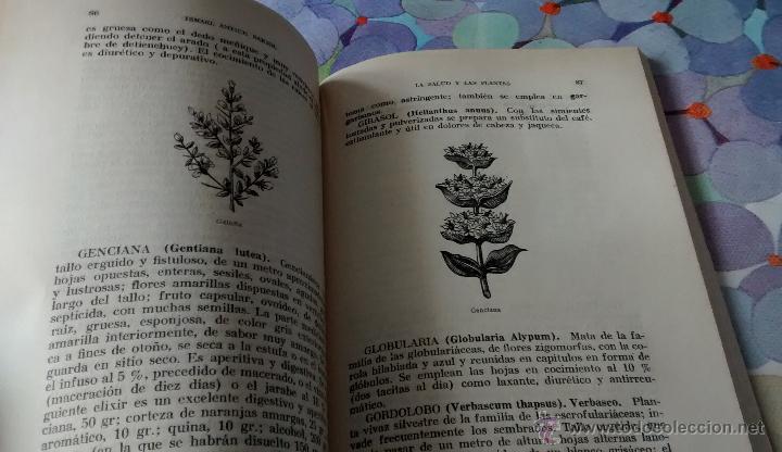 Libros de segunda mano: La salud y las plantas, con muchos dibujos - Foto 2