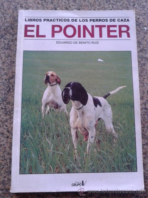 Libros de segunda mano: EL POINTER -- EDUARDO DE BENITO RUIZ -- EDITORIAL GRUPO V - 1998 -- - Foto 1