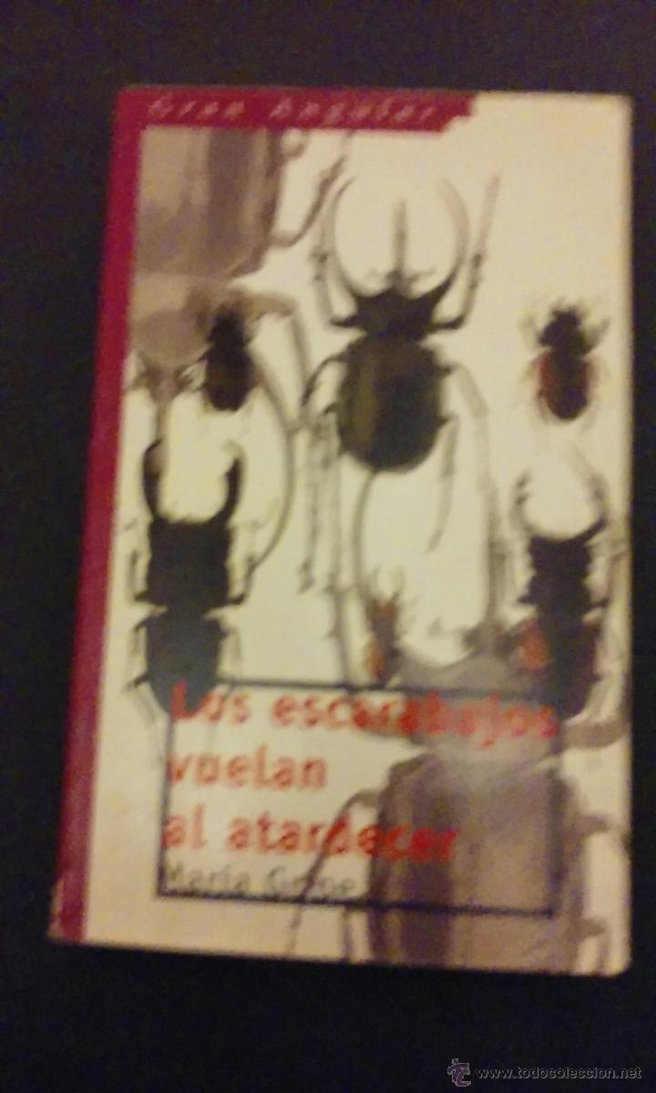 Libros de segunda mano: LOS ESCARABAJOS VUELAN AL ATARDECER - MAR&Iacute;A GRIPE - GRAN ANGULAR - Foto 1