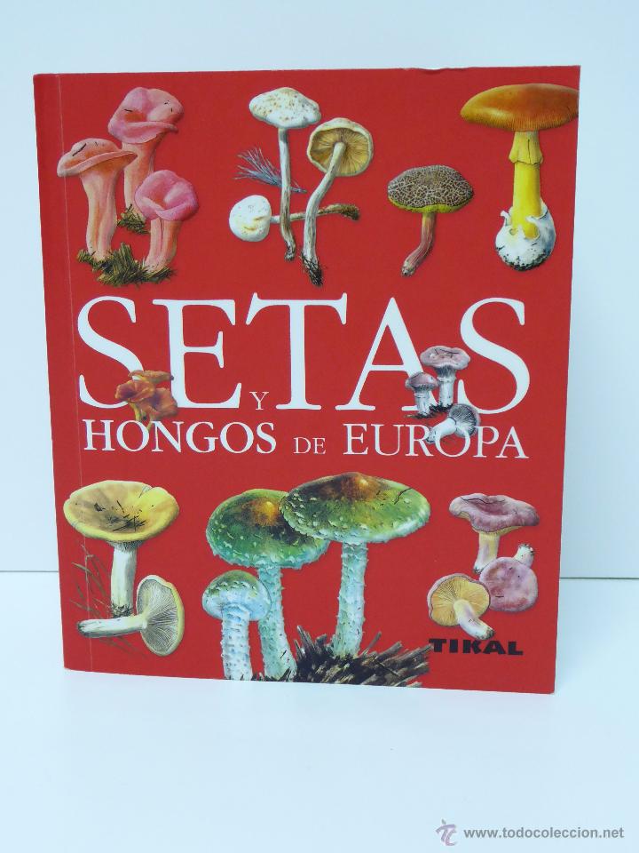 Libros de segunda mano: SETAS Y HONGOS DE EUROPA - Foto 1