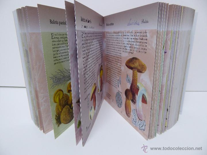 Libros de segunda mano: SETAS Y HONGOS DE EUROPA - Foto 5