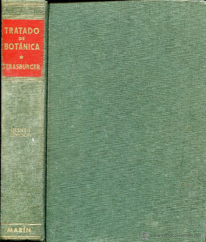 Libros de segunda mano: tratado de botanica -- strasburger - Foto 1