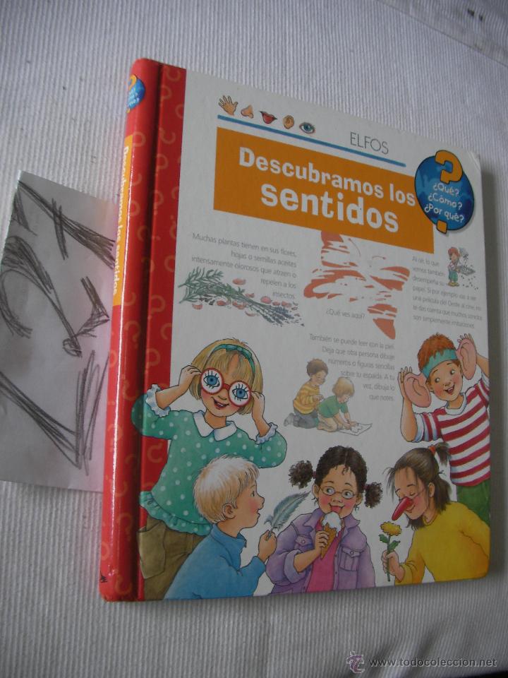 Libros de segunda mano: DESCUBRAMOS LOS SENTIDOS - ELFOS - Foto 1