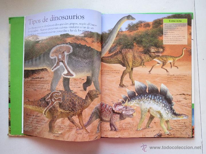 Libros de segunda mano: DINOSAURIOS - PEQUE&Ntilde;OS CURIOSOS, GRANDES CIENTIFICOS - CIRCULO DE LECTORES. - Foto 3