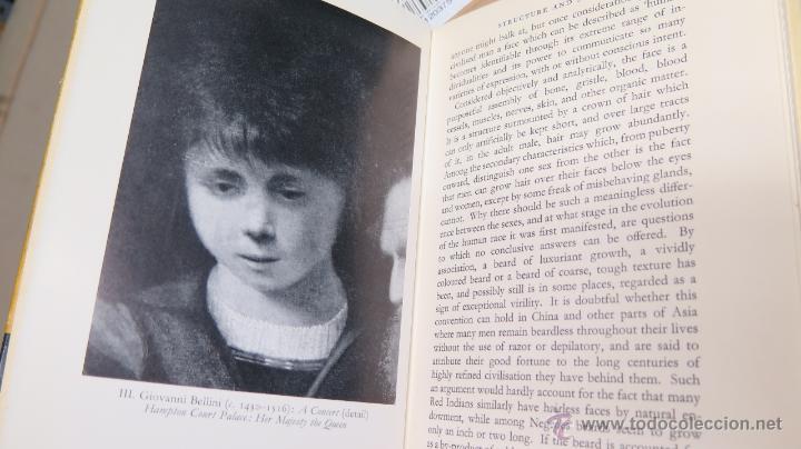 Libros de segunda mano: THE HUMAN FACE RECONSIDERED. JOHN BROPHY - Foto 3