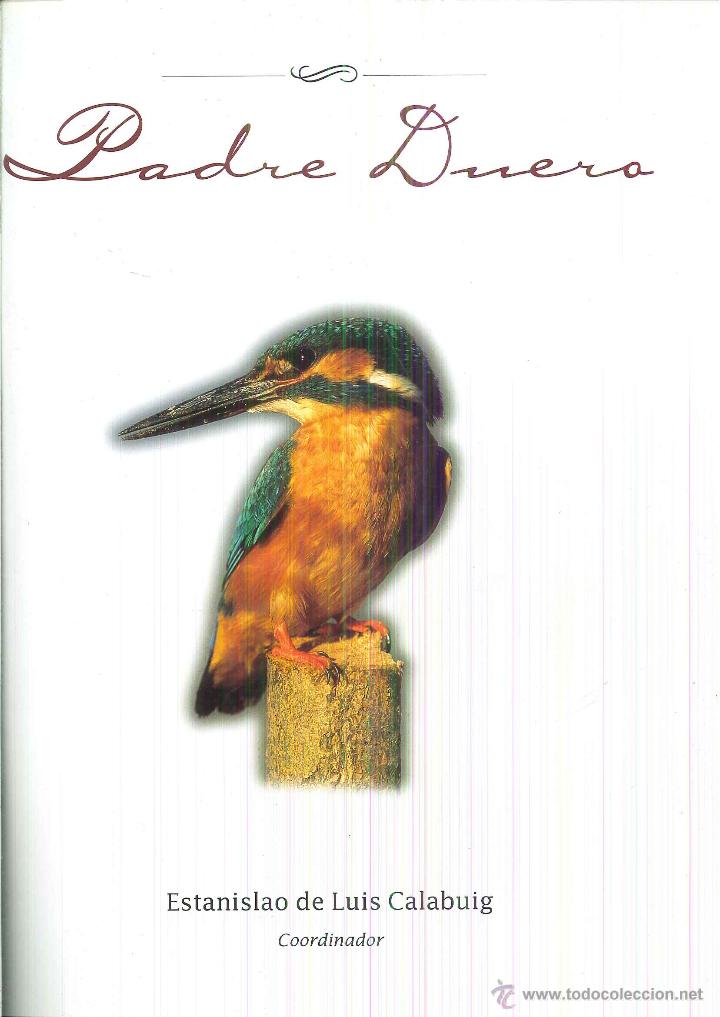 Libros de segunda mano: PADRE DUERO. Estanislao de Luis Calabuig - Foto 1