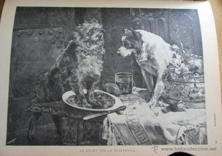 Libros de segunda mano: Animales - Foto 7