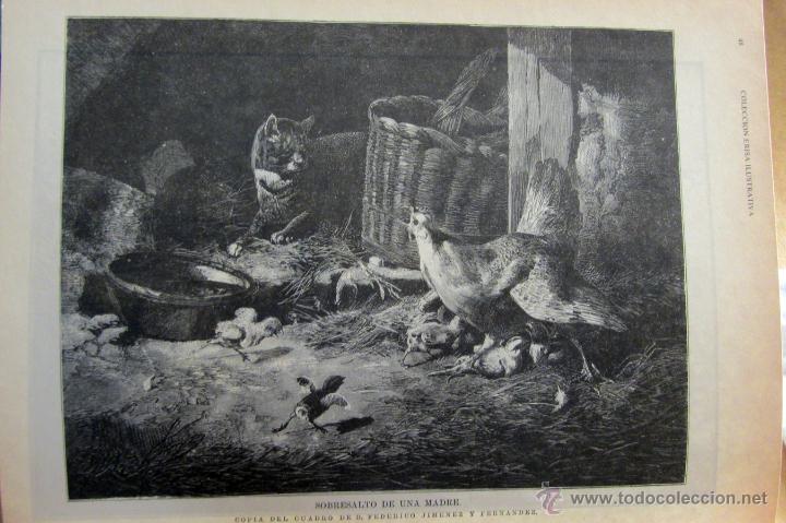 Libros de segunda mano: Animales - Foto 8