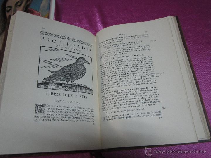 Libros de segunda mano: GOBIERNO GENERAL DE LAS AVES 1696 FACSIMIL EDICION DE SOLO 224 LIBROS. L17 - Foto 6